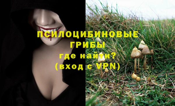 2c-b Балабаново