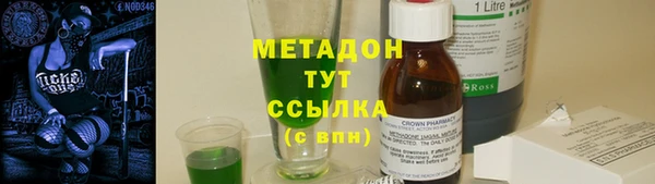 прущие грибы Арсеньев