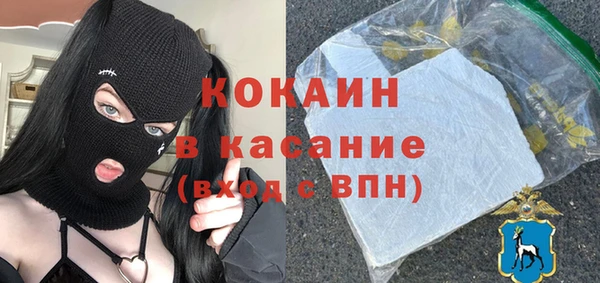 прущие грибы Арсеньев