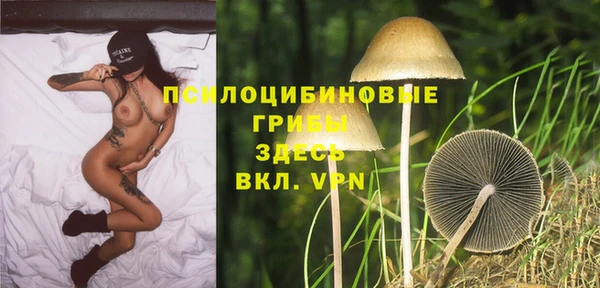 2c-b Балабаново