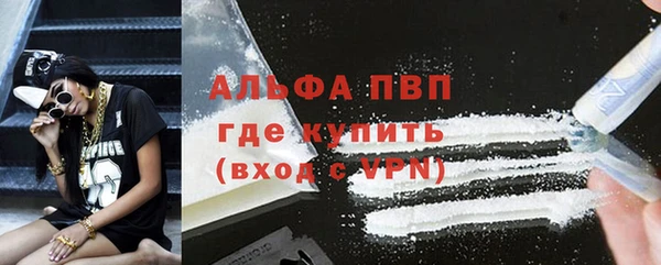прущие грибы Арсеньев