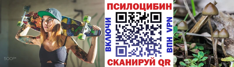 Псилоцибиновые грибы Psilocybine cubensis Урус-Мартан